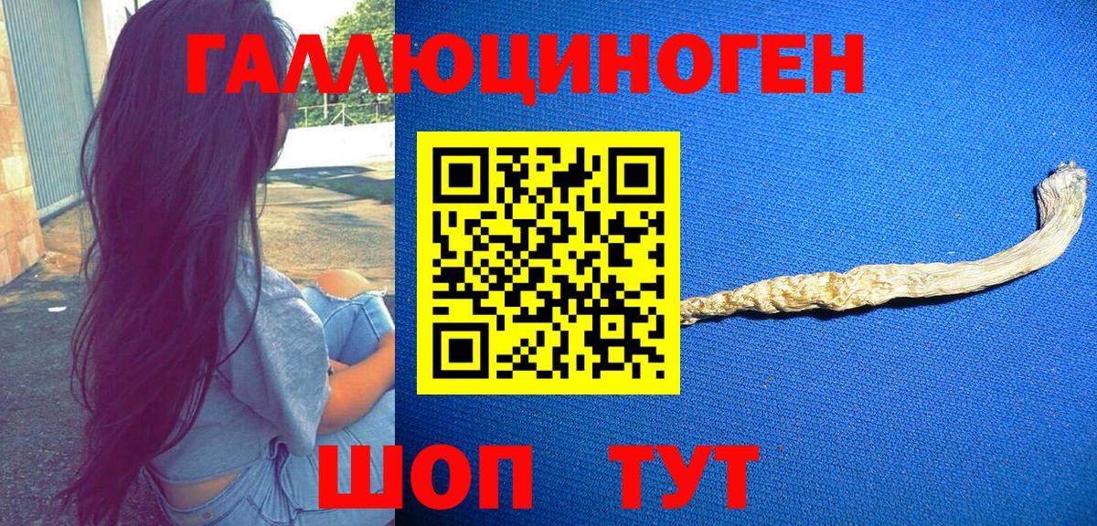 купить наркоту  Псилоцибиновые грибы ЛСД  Вход с VPN  Галлюциногенные грибы GOLDEN TEACHER  Щёлково 